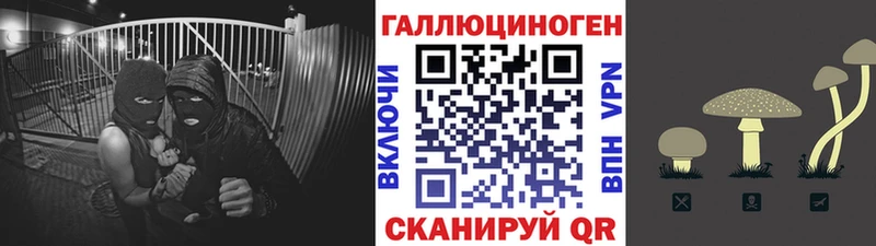 Галлюциногенные грибы Magic Shrooms  Вологда 